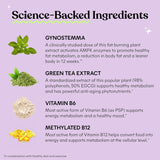 Metabolism, + AMPK Activating Supplement for Men & Women w/Clinically Studied Actiponin Gynostemma, Green Tea Extract, Vitamins B6 & B12 - Gluten Free, 60 Count